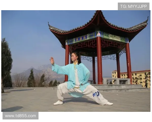 世界陈氏太极拳锦标赛(首届陈氏太极拳世锦赛)世界杯体育论坛 世界陈氏太极拳锦标赛(首届陈氏太极拳世锦赛)世界杯体育论坛